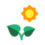 sun-leaf-icon